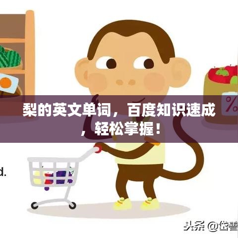 梨的英文單詞，百度知識速成，輕松掌握！