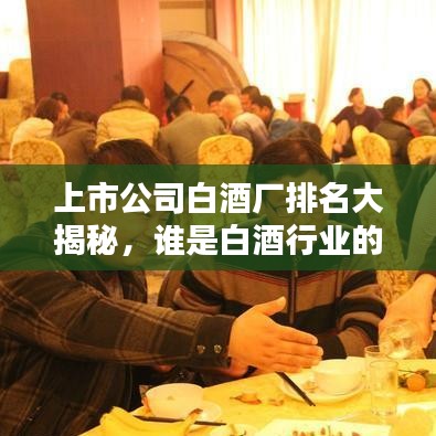 上市公司白酒廠排名大揭秘，誰是白酒行業(yè)的領(lǐng)頭羊？
