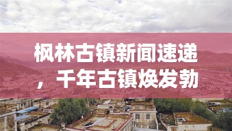 楓林古鎮(zhèn)新聞速遞，千年古鎮(zhèn)煥發(fā)勃勃生機