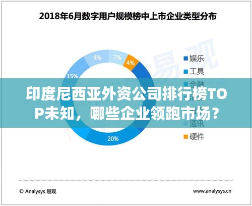 印度尼西亞外資公司排行榜TOP未知，哪些企業(yè)領(lǐng)跑市場？