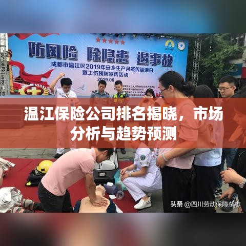 溫江保險(xiǎn)公司排名揭曉，市場(chǎng)分析與趨勢(shì)預(yù)測(cè)