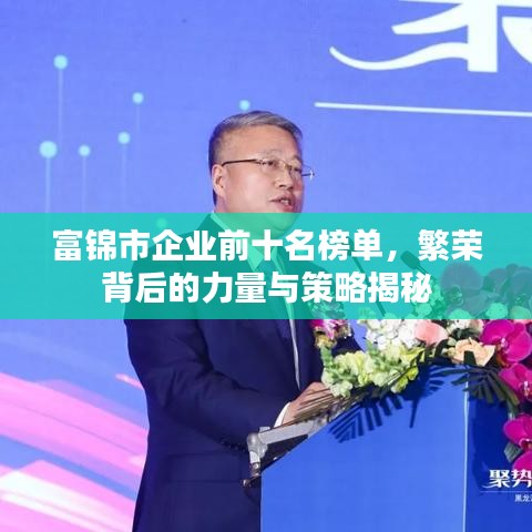 富錦市企業(yè)前十名榜單，繁榮背后的力量與策略揭秘