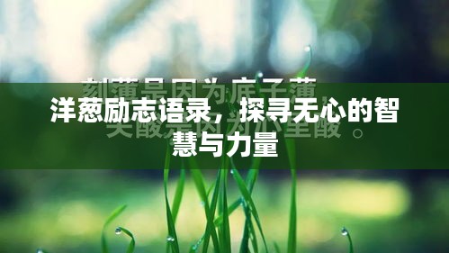 洋蔥勵志語錄，探尋無心的智慧與力量