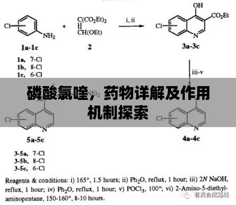 磷酸氯喹，藥物詳解及作用機(jī)制探索