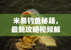 米易釣魚秘籍，最新攻略視頻解析，讓你輕松釣上大魚！