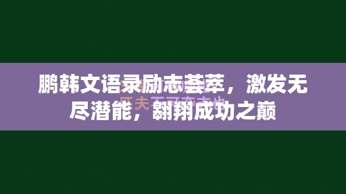 鵬韓文語錄勵志薈萃，激發(fā)無盡潛能，翱翔成功之巔