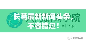 長葛最新新聞頭條，不容錯過！