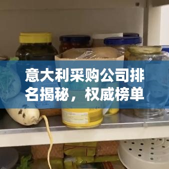 意大利采購(gòu)公司排名揭秘，權(quán)威榜單揭曉頂級(jí)企業(yè)榜單