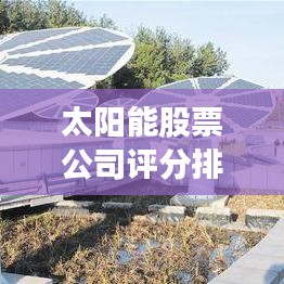 太陽能股票公司評分排名揭秘，綠色能源領(lǐng)域的領(lǐng)頭羊