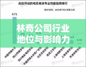 林奇公司行業(yè)地位與影響力解析，揭秘其在行業(yè)中的排名及深遠(yuǎn)影響