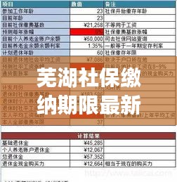 蕪湖社保繳納期限最新規(guī)定解讀，你需要知道的最新繳納期限！