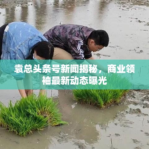 袁總頭條號新聞揭秘，商業(yè)領(lǐng)袖最新動態(tài)曝光