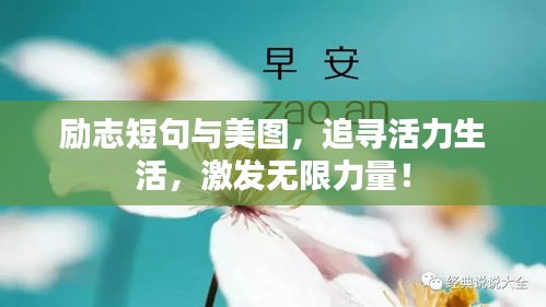 勵志短句與美圖，追尋活力生活，激發(fā)無限力量！