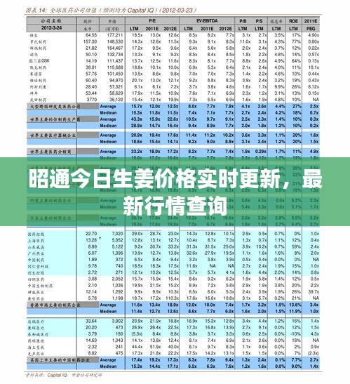 昭通今日生姜價(jià)格實(shí)時(shí)更新，最新行情查詢
