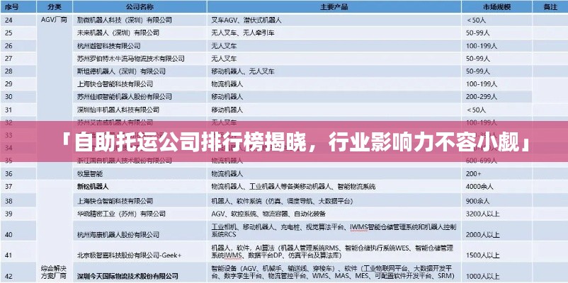 「自助托運(yùn)公司排行榜揭曉，行業(yè)影響力不容小覷」