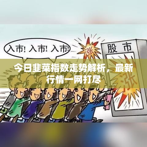 今日韭菜指數(shù)走勢解析，最新行情一網(wǎng)打盡