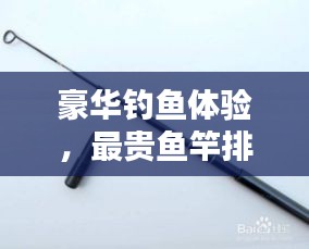 豪華釣魚體驗(yàn)，最貴魚竿排行榜前十名揭曉