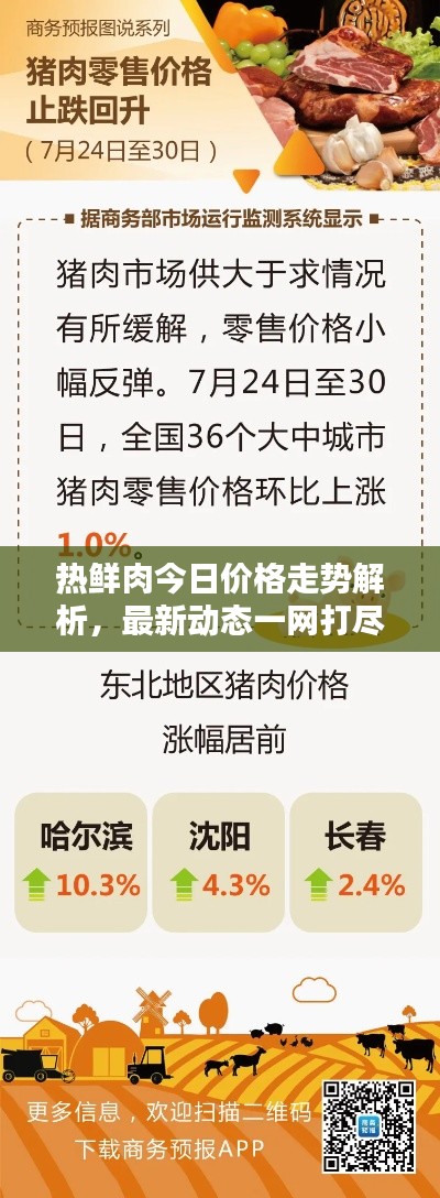 熱鮮肉今日價(jià)格走勢(shì)解析，最新動(dòng)態(tài)一網(wǎng)打盡！