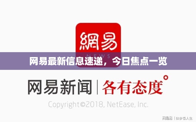 網易最新信息速遞，今日焦點一覽