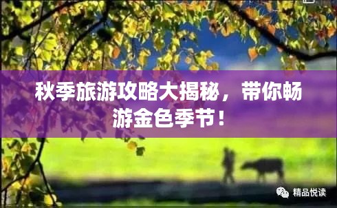 秋季旅游攻略大揭秘，帶你暢游金色季節(jié)！