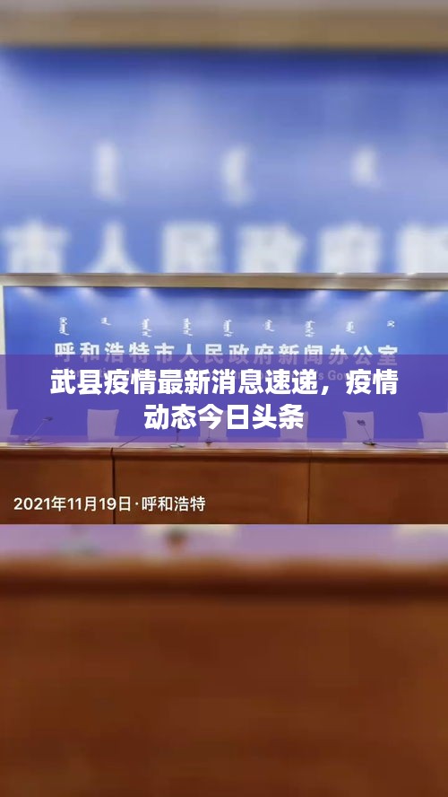 武縣疫情最新消息速遞，疫情動(dòng)態(tài)今日頭條