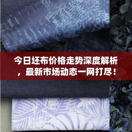 今日坯布價格走勢深度解析，最新市場動態(tài)一網(wǎng)打盡！