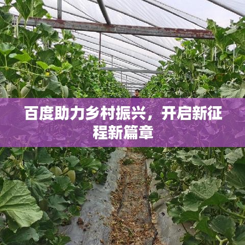 百度助力鄉(xiāng)村振興，開啟新征程新篇章