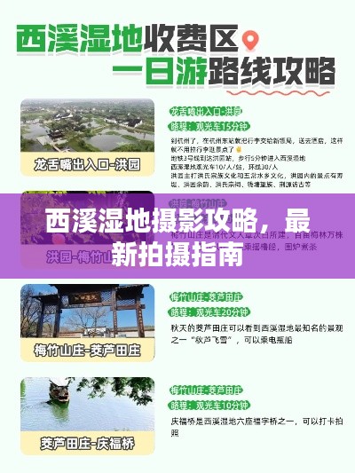 西溪濕地攝影攻略，最新拍攝指南