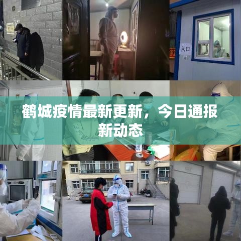 鶴城疫情最新更新，今日通報(bào)新動態(tài)
