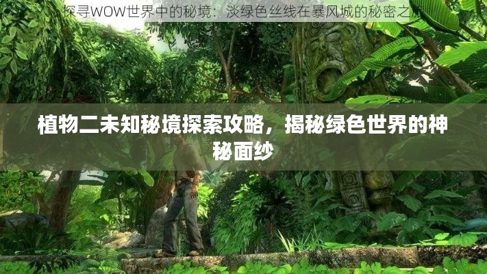 植物二未知秘境探索攻略，揭秘綠色世界的神秘面紗