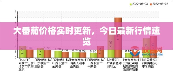 大番茄價格實時更新，今日最新行情速覽