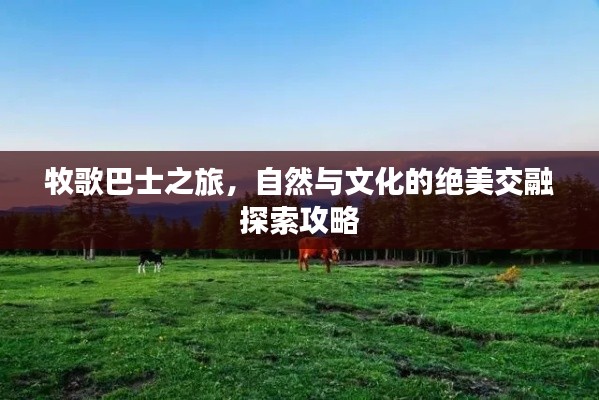 牧歌巴士之旅，自然與文化的絕美交融探索攻略