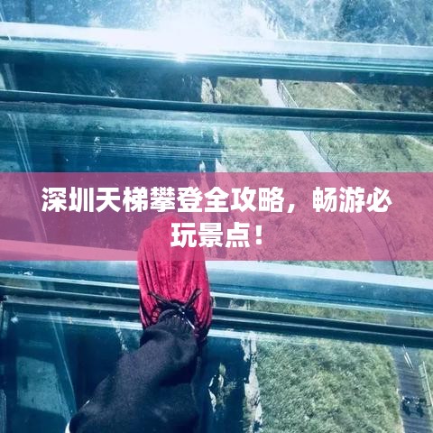 深圳天梯攀登全攻略，暢游必玩景點(diǎn)！