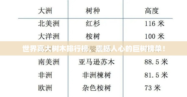 世界高大樹木排行榜，震撼人心的巨樹榜單！