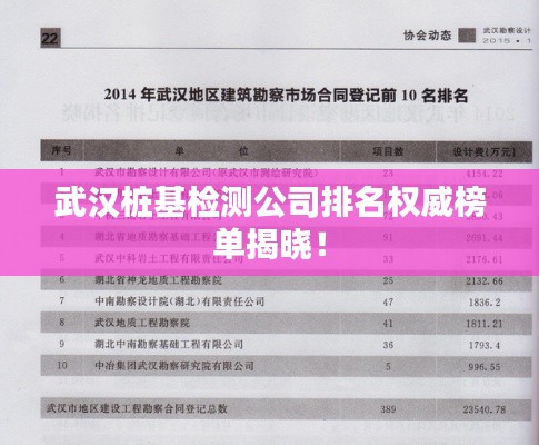 武漢樁基檢測公司排名權(quán)威榜單揭曉！