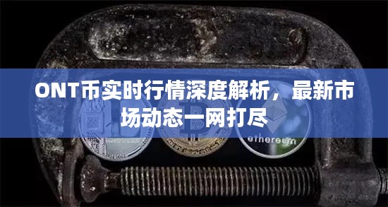 ONT幣實(shí)時行情深度解析，最新市場動態(tài)一網(wǎng)打盡