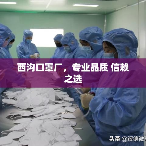 西溝口罩廠，專業(yè)品質(zhì) 信賴之選