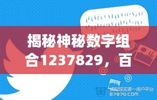 揭秘神秘?cái)?shù)字組合1237829，百度背后的故事探秘