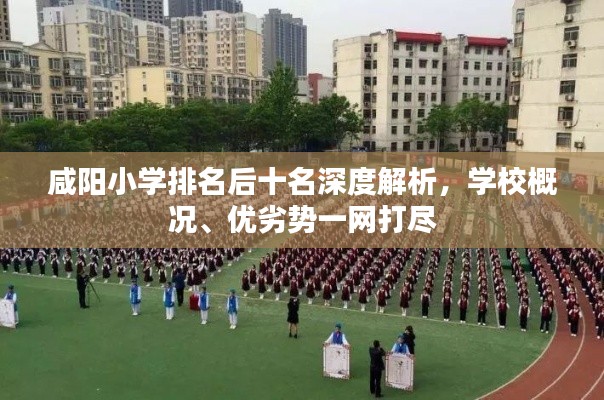 咸陽(yáng)小學(xué)排名后十名深度解析，學(xué)校概況、優(yōu)劣勢(shì)一網(wǎng)打盡
