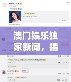 澳門娛樂(lè)獨(dú)家新聞，揭秘最新娛樂(lè)動(dòng)態(tài)，掌握澳門娛樂(lè)新風(fēng)向