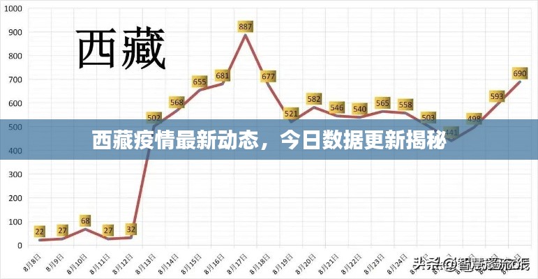 西藏疫情最新動態(tài)，今日數(shù)據(jù)更新揭秘