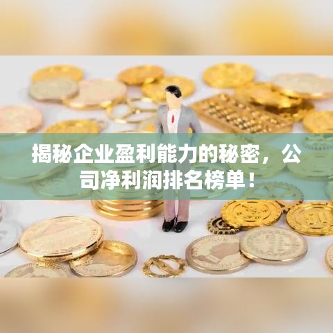 揭秘企業(yè)盈利能力的秘密，公司凈利潤(rùn)排名榜單！