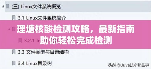 理塘核酸檢測(cè)攻略，最新指南助你輕松完成檢測(cè)