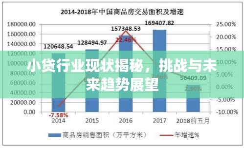 小貸行業(yè)現(xiàn)狀揭秘，挑戰(zhàn)與未來趨勢(shì)展望