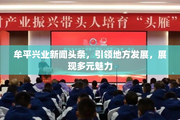 牟平興業(yè)新聞?lì)^條，引領(lǐng)地方發(fā)展，展現(xiàn)多元魅力