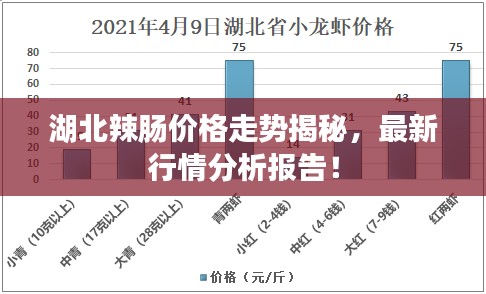 湖北辣腸價(jià)格走勢揭秘，最新行情分析報(bào)告！