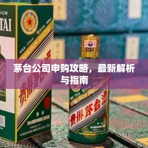 茅臺公司申購攻略，最新解析與指南