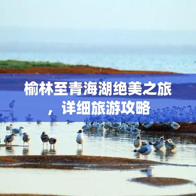 榆林至青海湖絕美之旅，詳細旅游攻略