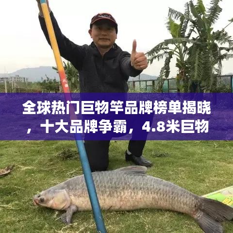 全球熱門巨物竿品牌榜單揭曉，十大品牌爭霸，4.8米巨物竿榮登前十名