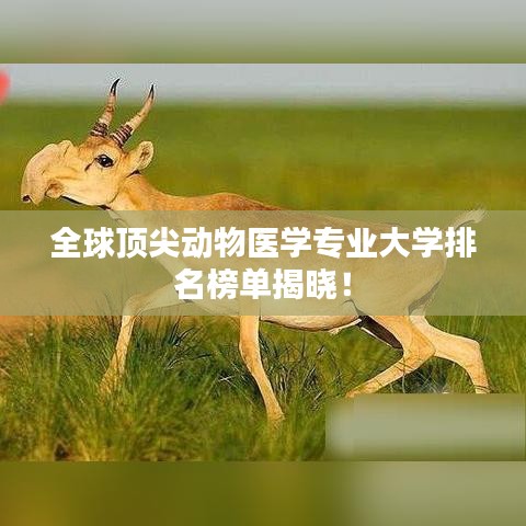 全球頂尖動物醫(yī)學專業(yè)大學排名榜單揭曉！